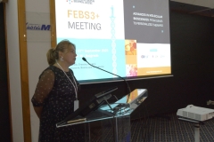 Still-2025-10-09-192812_1.385.1